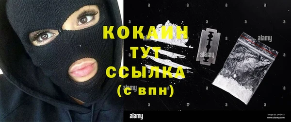 винт Липки