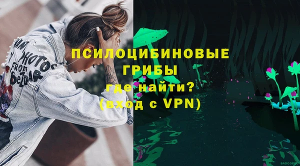винт Липки