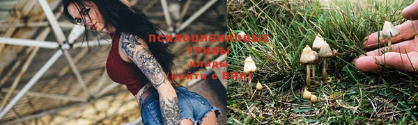 прущие крисы Лихославль