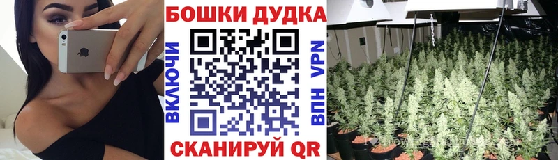 Купить закладки  Берёзовка  Шишки марихуана конопля 